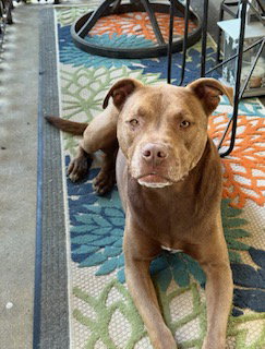 Coco, photo 3