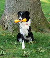Coby