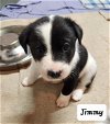 Jimmy (Coming Soon)