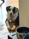 Tux