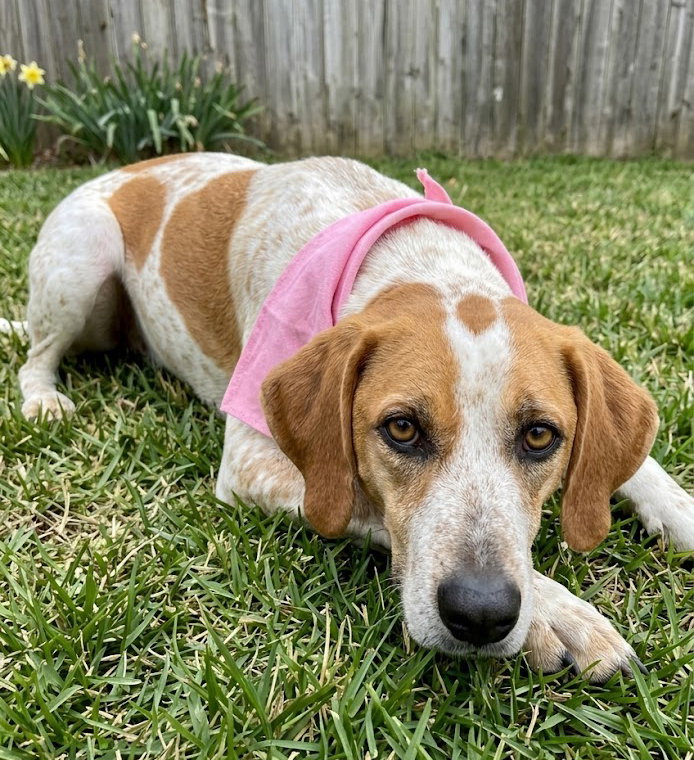 Susie Q - Senior