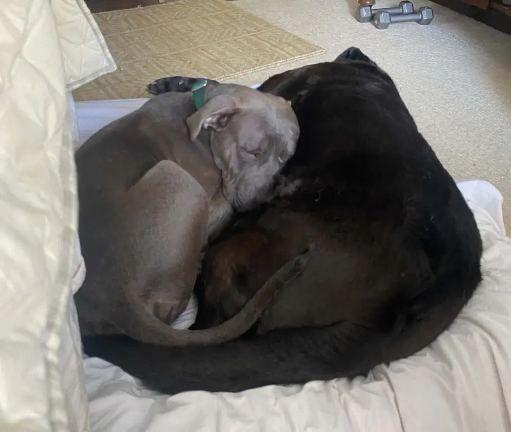 Otis image 2