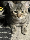 Margot - Photo 3