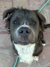 Bubba Bear - Photo 2