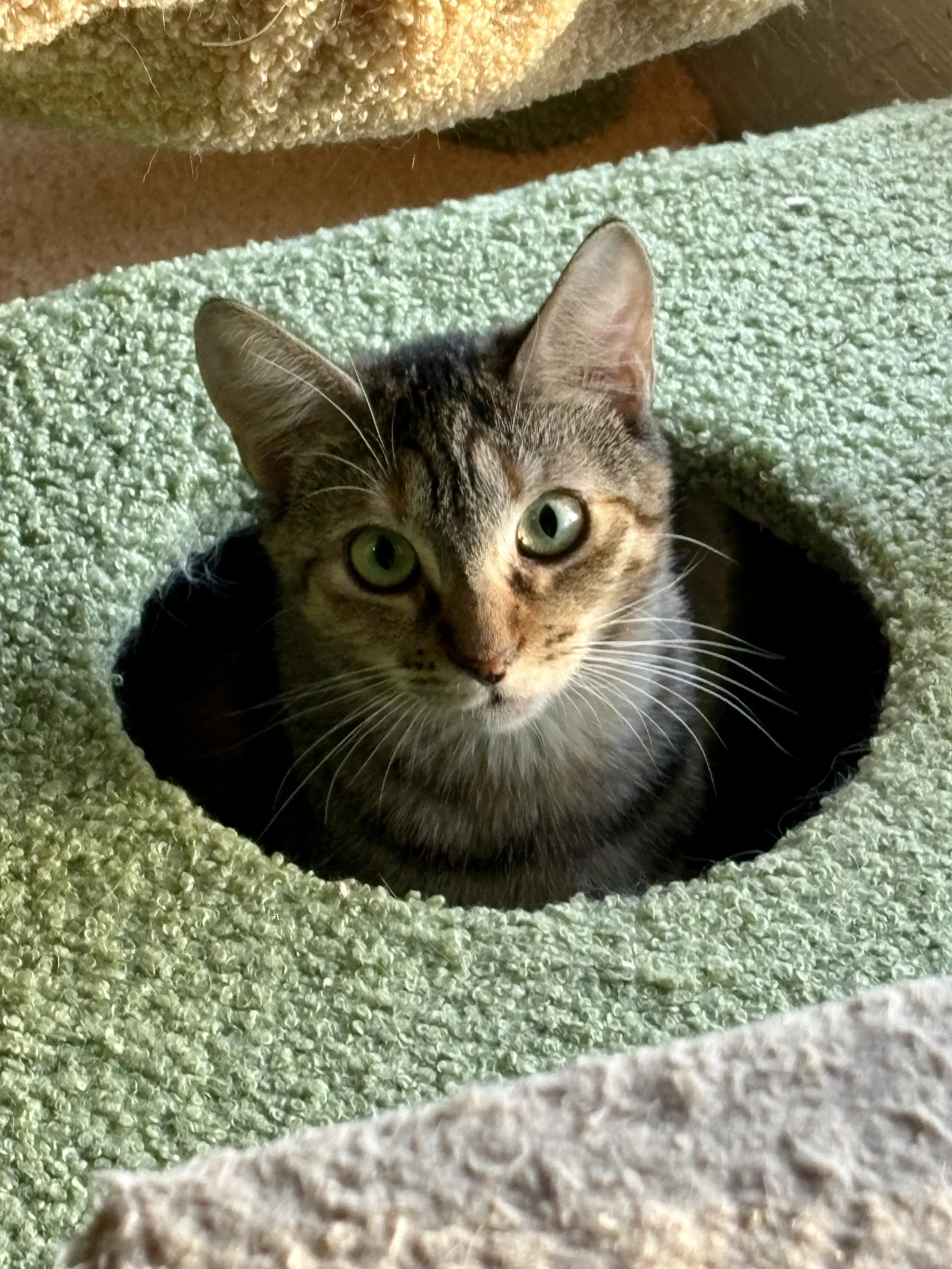 Sally image 3