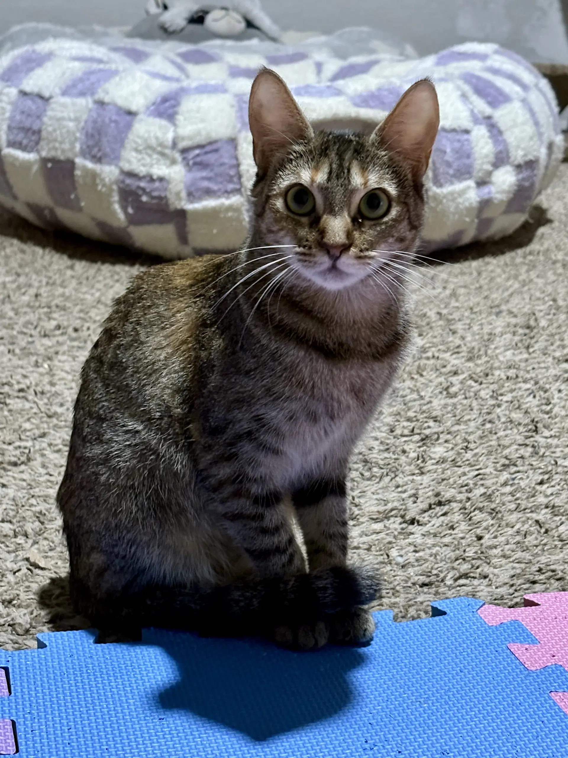 Sally image 2