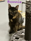 Bonnie - Photo 3