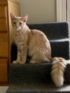 David - Photo 4