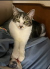 Mela Bonded with Rosebud - Photo 1