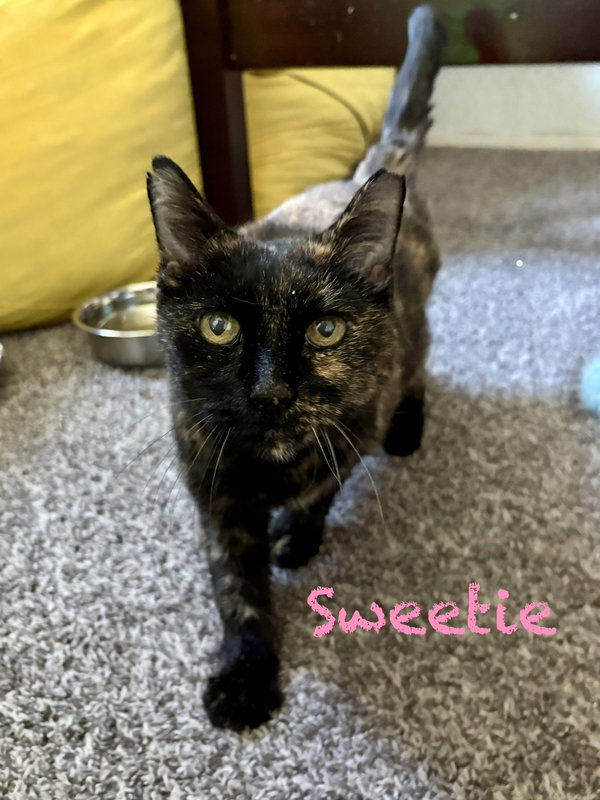 Sweetie