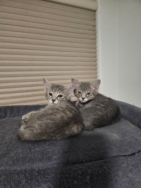 Louise BONDED with Thelma