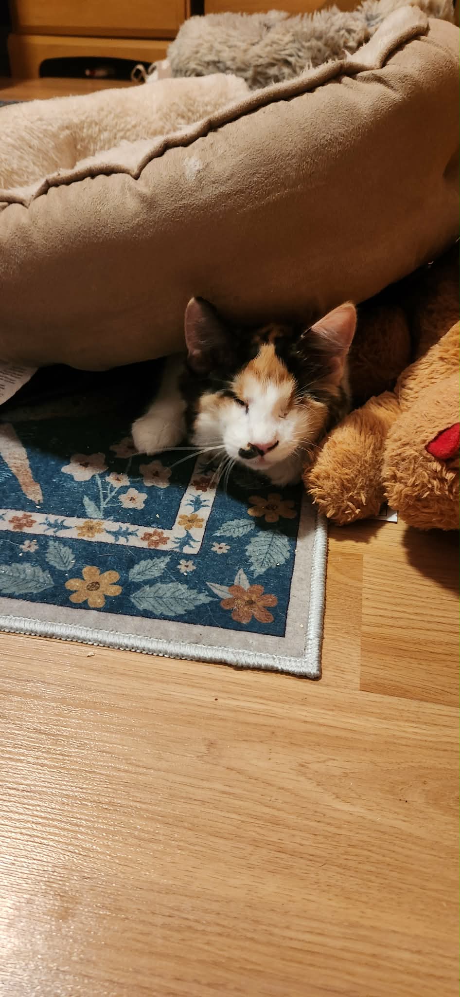 Anastasia BONDED with Marko