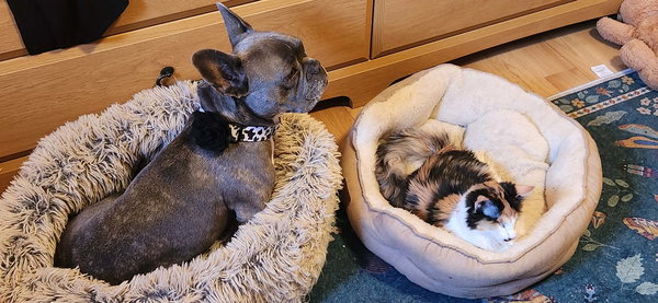 Anastasia BONDED with Marko