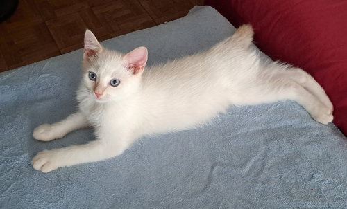 Nimbus