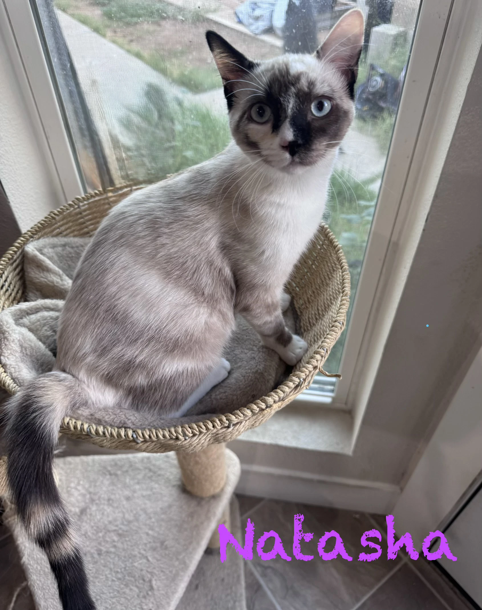 Natahsa