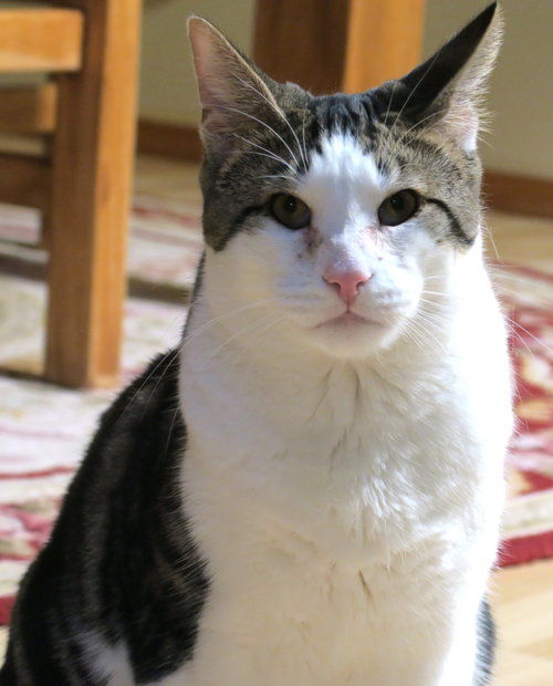 Photo of Remy Sebastian
