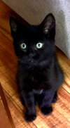 Shiloh