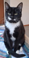Sophie