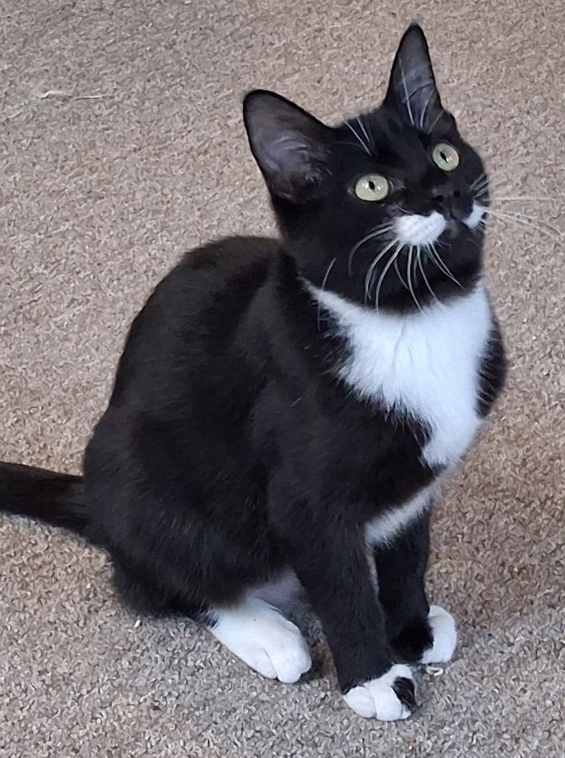 Sophie