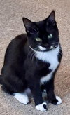 Sophie