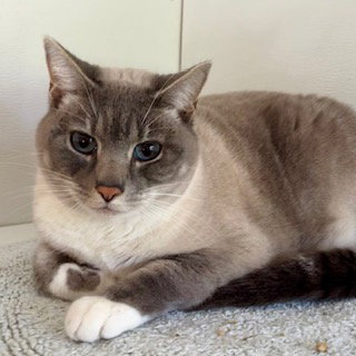 Sadie Mae