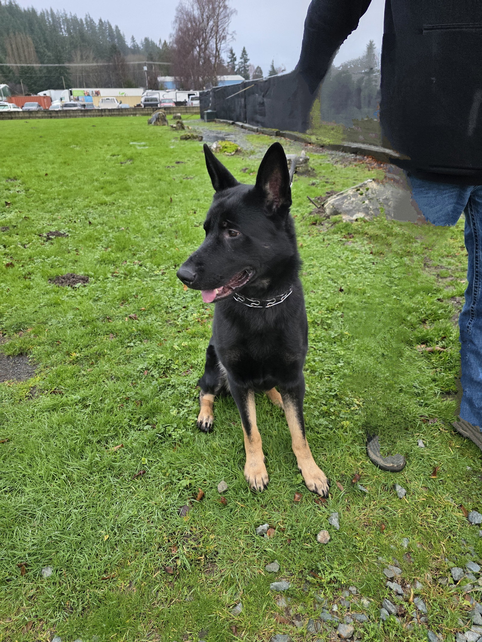 Odin