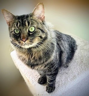 Photo of Charlie