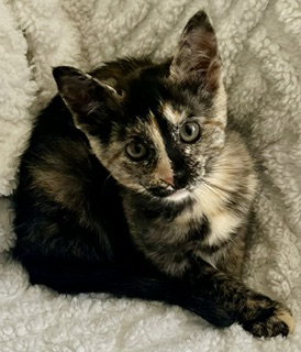 Photo of Tia