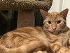 Jester and Jasper - Photo 2