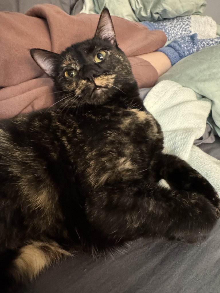 Amelia, photo 2
