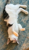 Sterling - Photo 3