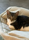 Sparky - Photo 3