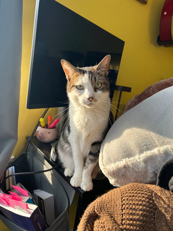 Erskin aka Ernie
