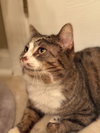 Ralph - Photo 2