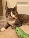 Ralph - Photo 3