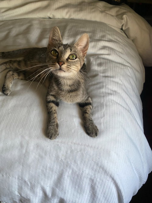 Photo 2 of Tiny Tot
