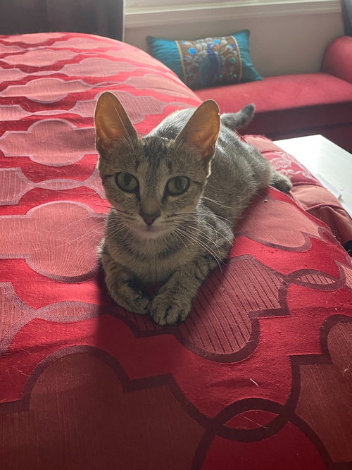 Photo 4 of Tiny Tot
