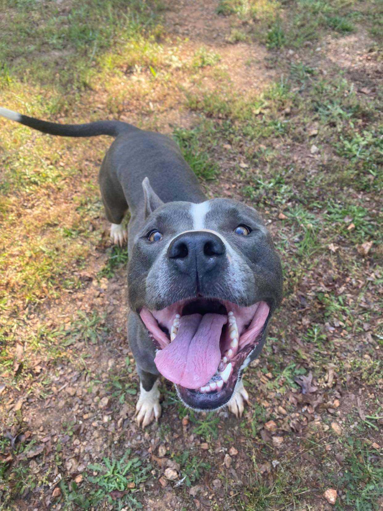Bruno, photo 23