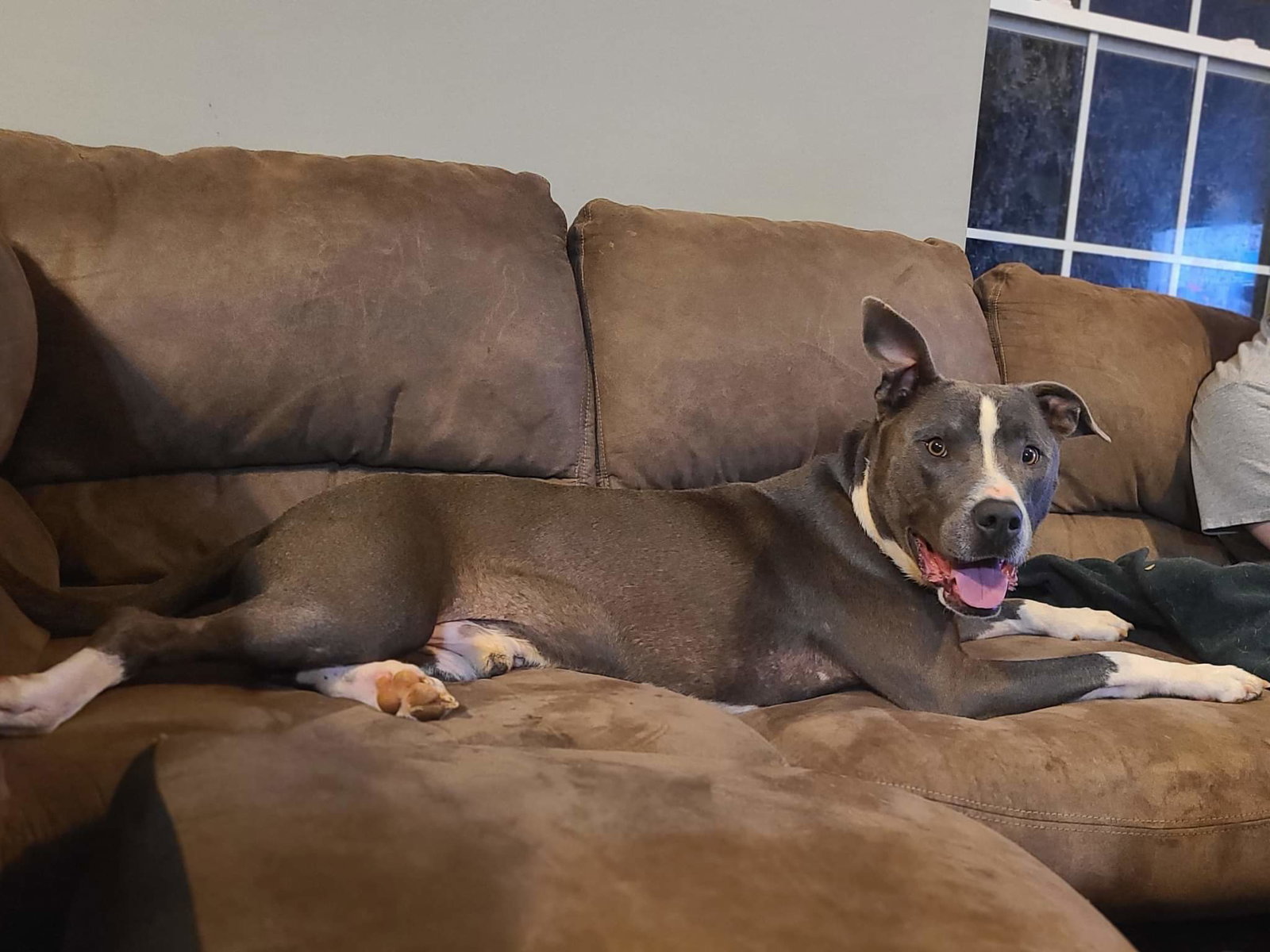 Bruno, photo 25