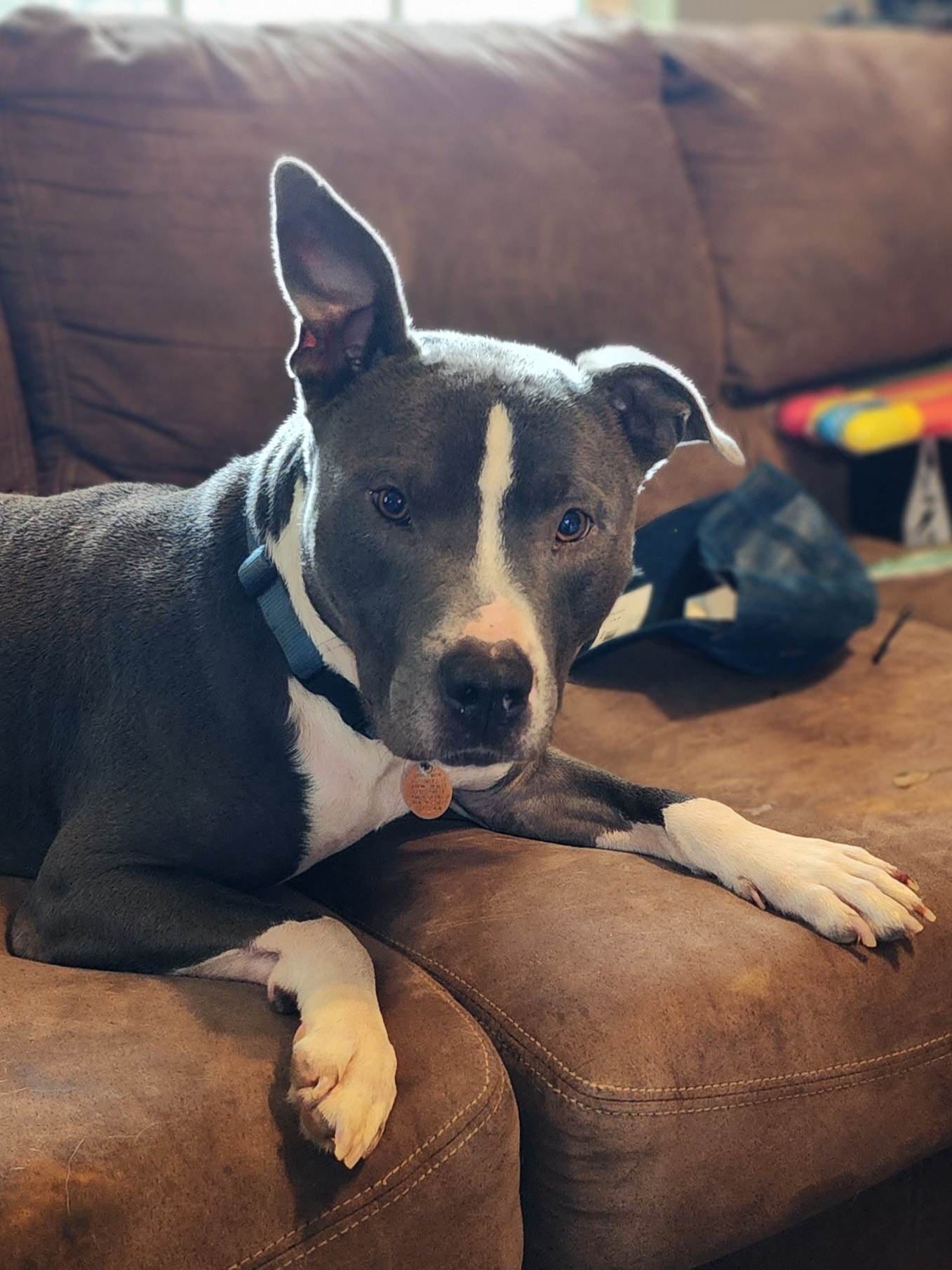 Bruno, photo 21
