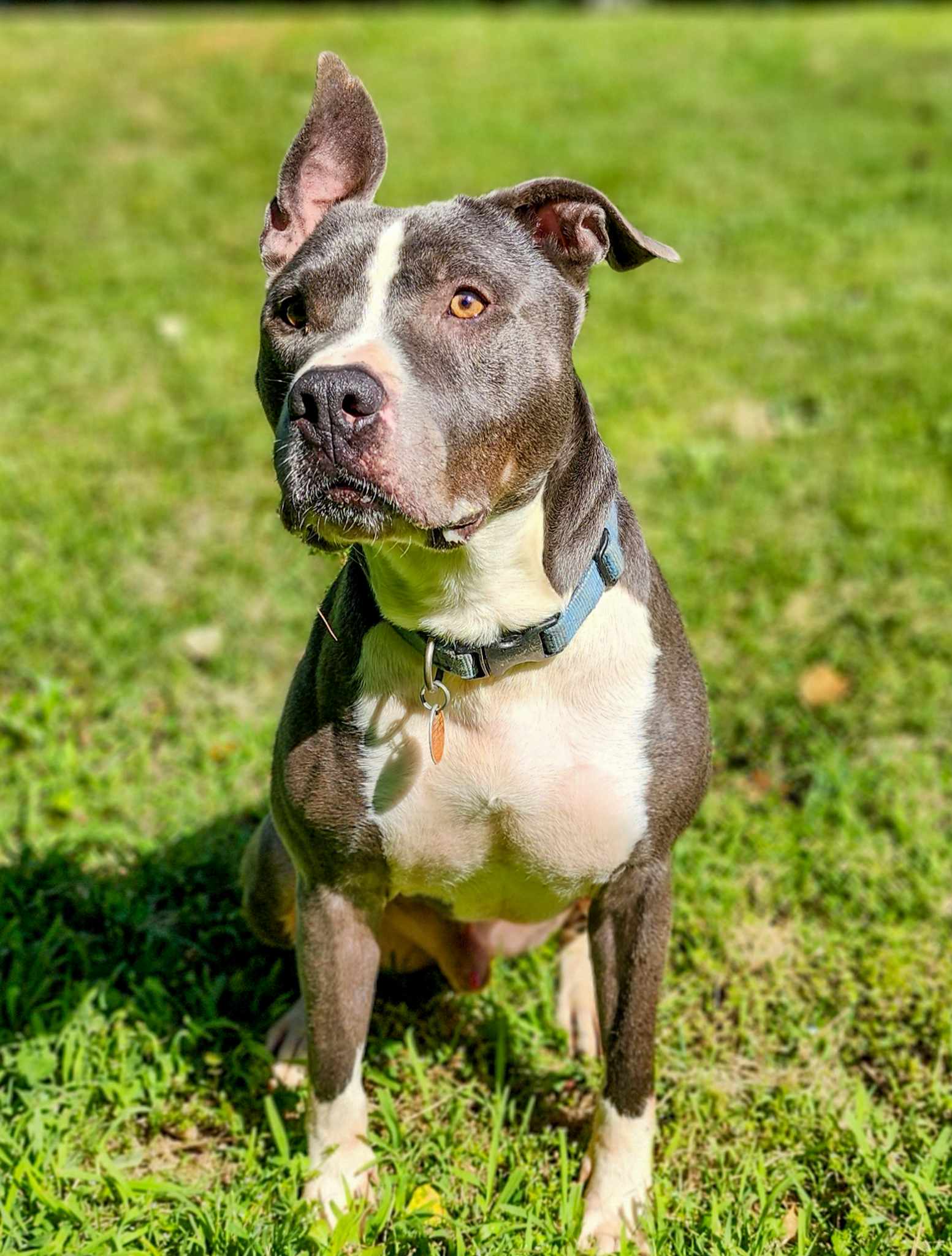Bruno, photo 19