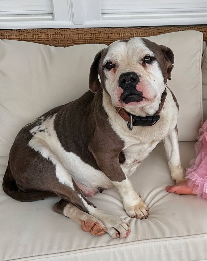 Bella