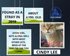 Cindy Lee