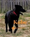 Kobe