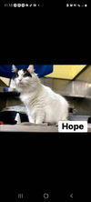 Hope