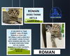 Roman