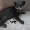 Onyx