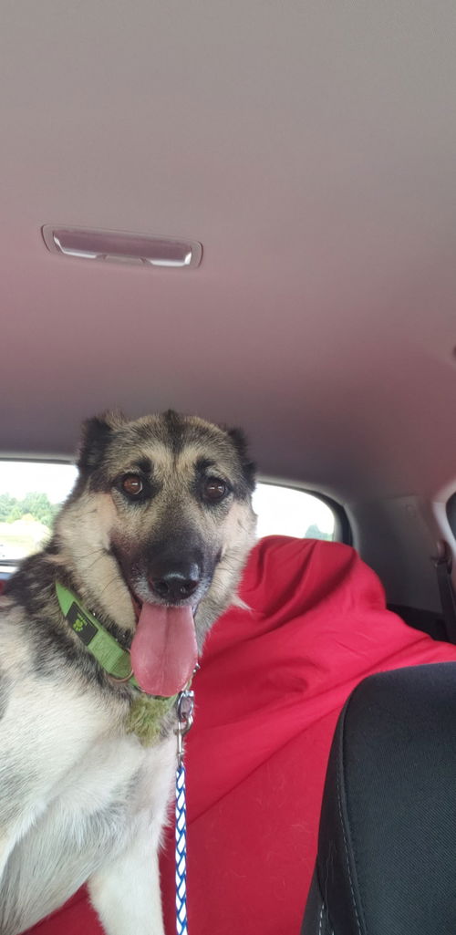 Shiloh