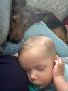 Serafina - Adoption Pending