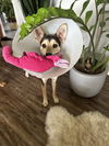 Finneas - Adoption Pending